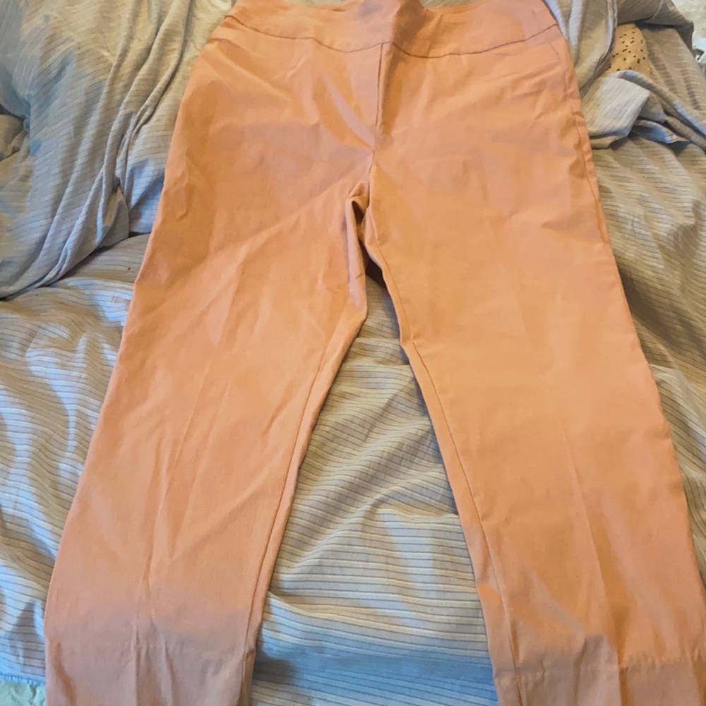 Pink Zac and Rachel career slacks